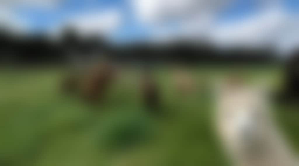 96252C1E1F18F7C315Dc8E33Aaf7419F