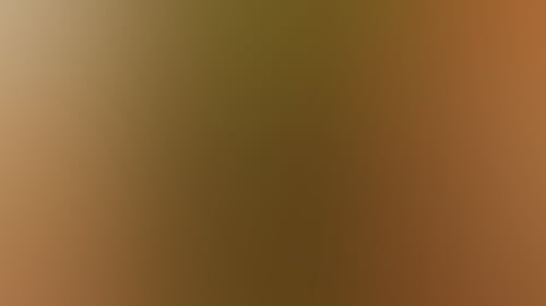 2420E5F24B039614Bd80Ecdb7D4B92E7