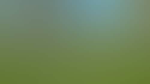 Fe46Bf2Dfc68138967Bdeaf8Afe01Dc2