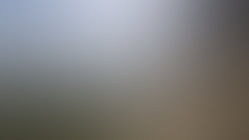 29D36E9Cca53211Fc2A3Ec33F4982234