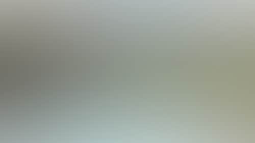 9Bab68F69Bbd9008F2D9Bfb8Fe900014