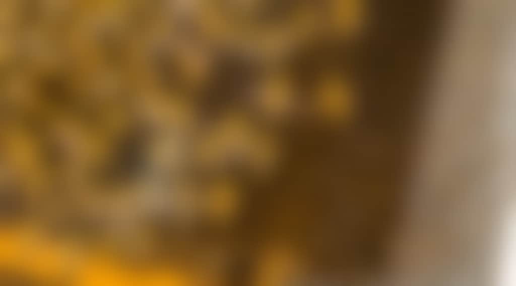 9C355C4D7D95C06Add065A0De287Da46