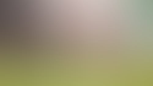 6789Fdb15993F196Acf66E3E9C11D738