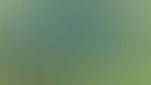 A289866646Bdc7E7D61654Ef76B6B091