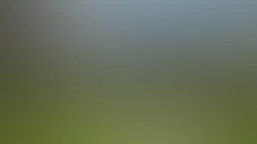 4C2D531Ed0A17Ce5A5Ee2Fd8F18355Cd