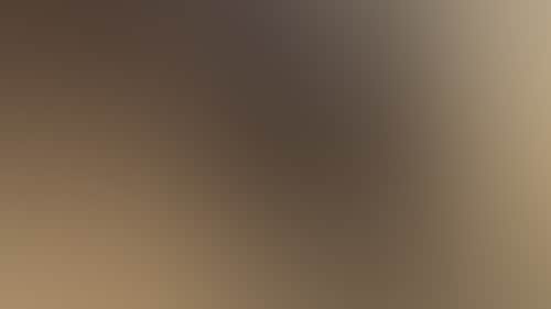 B752A4Ebdd961C2De161939088379054