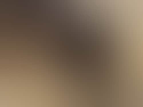 B752A4Ebdd961C2De161939088379054