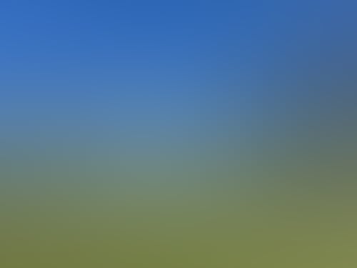 08F1B6Bfcc698D7A2Db6Eea2Ba14Fb7C