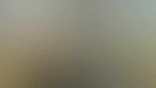 7960Ac8F38390839E17D8629Cc14Cf0C