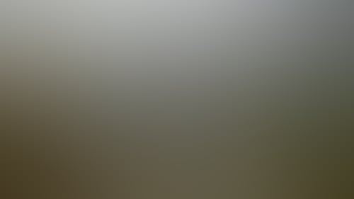 2E69778D71Abdb07Bfc04Ae7F72A90A6