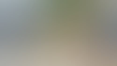 A8A28D36B77694Ee1Dc50B6B0C936739