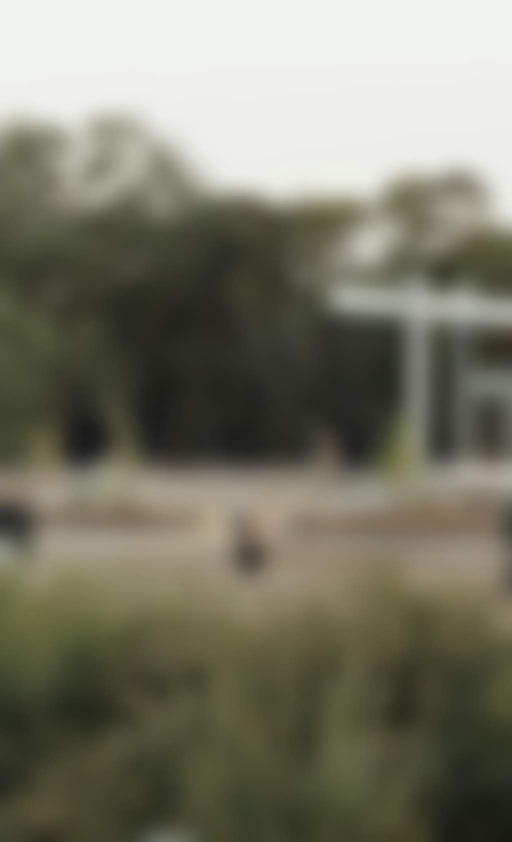 A90Da8315Fbdcbc7311Fa6B681854612