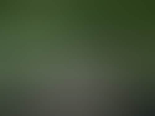 Alexandra Gardens 007