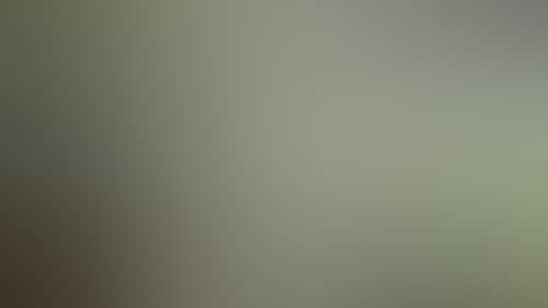 4Bd12A799Efbf169F153D88A7F3753Bb