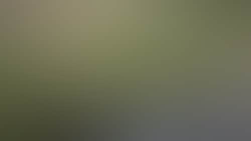 4F9Ed7Ec3445Cc4Ddd0261Eaeebb8487