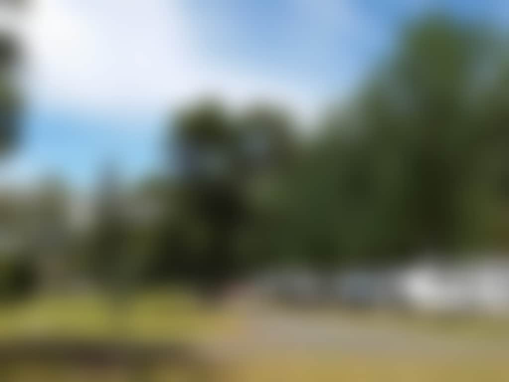 59554Bb1D8B74003D9D4F2B89Ea13600