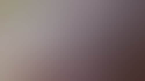 0199E7Acc17D2D7A52D11B4E8Bcce815