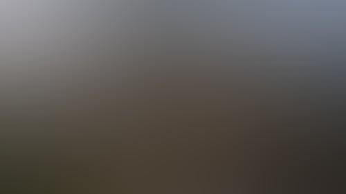 20C04442F9Ce917F5Fe8D3Bb4A790Dcc
