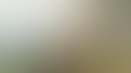 29Cec1E4B90C8D0Eb65B41Cfd1F2Ff29