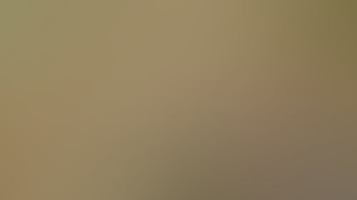 4C322A74551A2Acbfe24Bee95Aaafd04