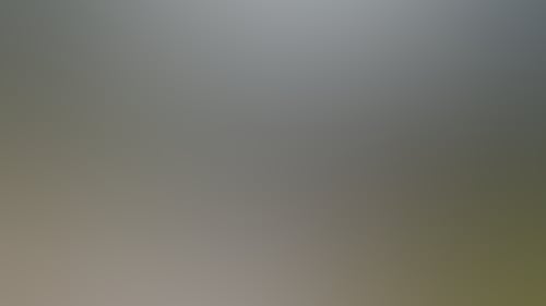 7A3Aa966B026B176Aa436C8023Ca90Fc