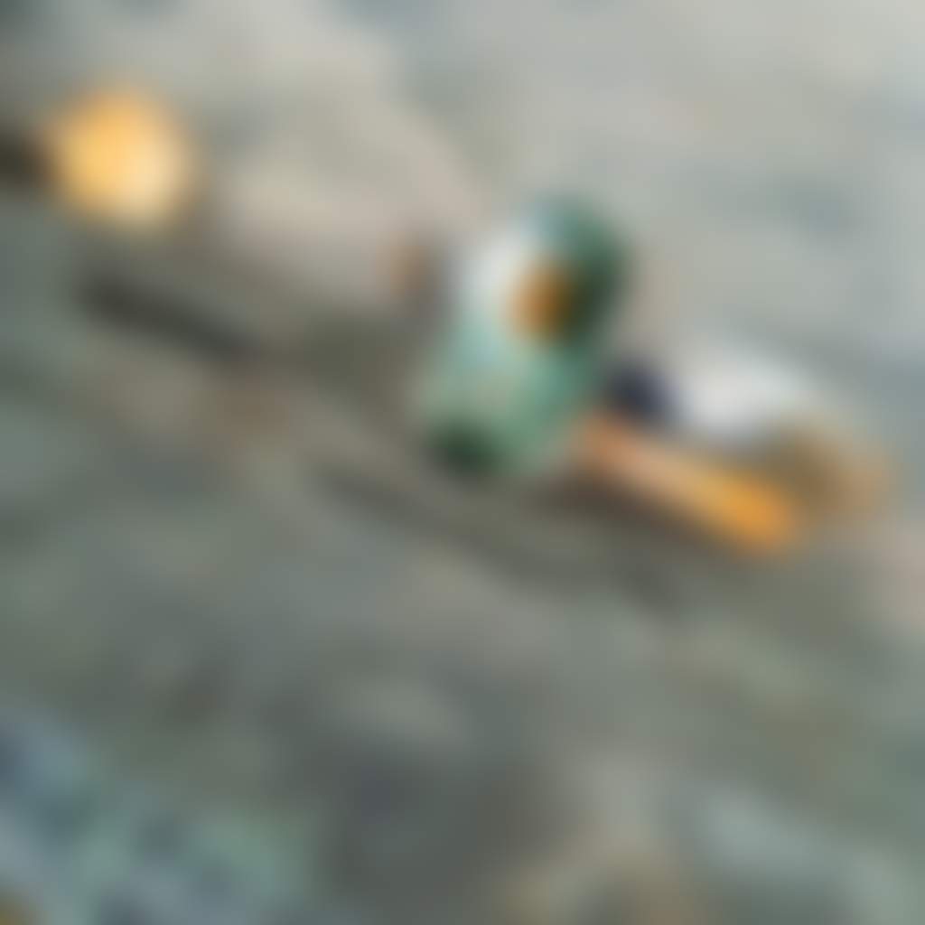 786272D6Ecc4A53948D505F401406Df9