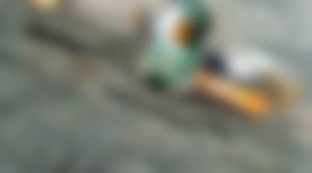 786272D6Ecc4A53948D505F401406Df9