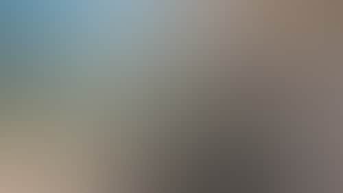 E6E12Ae4597D6869Ce9E722Bbd7D7Ebf