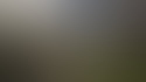 F74C01Fe22D09Dc3D44E19F64E0D9A65