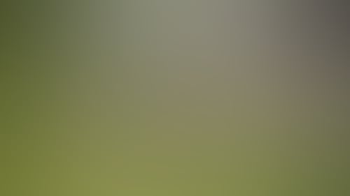 4C9Da13306F2Bbabcfab870733B8C54E