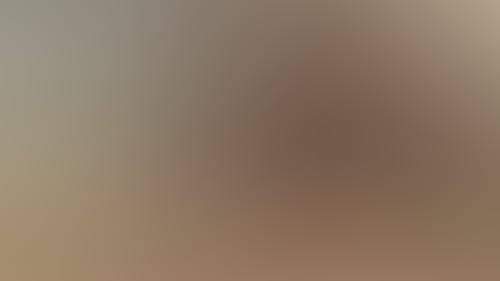 C40Fbceab6Da976B4A7653Bc94Ff3383