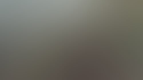 7Db0F48B55Fd7708De212655979B9820