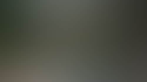 Ae2520F4A500C8Ffc57B76692D835437