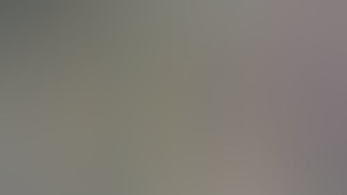 E380C38C9D8Cdbc3961Ef1Ba17C03B47