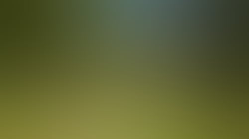 A907217889E9146B97F58C7C8786E2E0