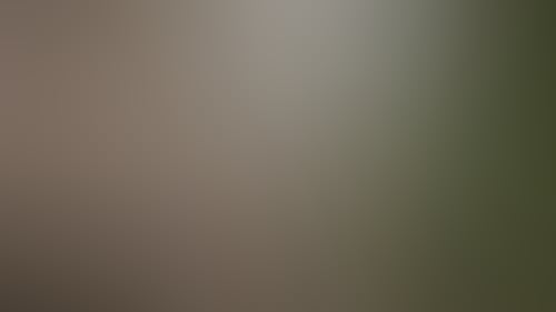 8Ff63Be5Baab3Acb32682A64134B7D8A
