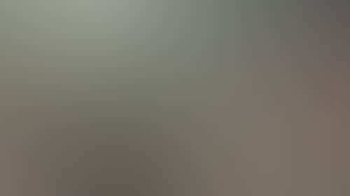 Original__9372673_Tvic_Img_2114_R8K9Hv7