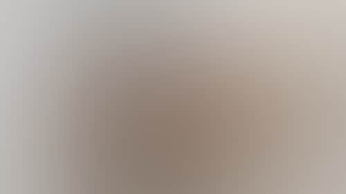 2381D99905B357F4Db5668Fd1A47214D