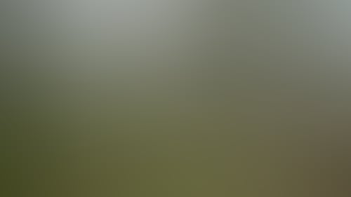 293B0E50795Ac090742A5B8D86Cde93E