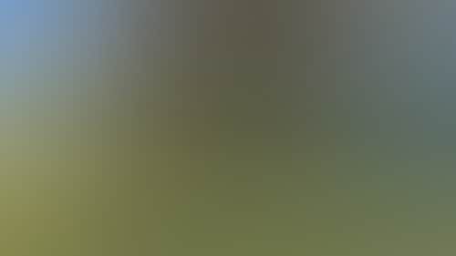 A6Dab369124655603Ffd76F4243Bfab5