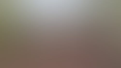 DSC 6345