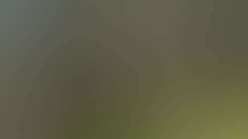 2716Ed2C7A77252F314Cf99Ba4D2Cd4F