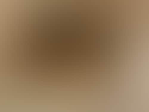 8566Dea6317C3Be128A228E62Dbd19E2