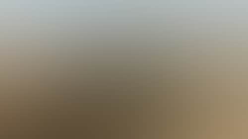 7254D56C87D4Bf9011F22F64C08632Ed