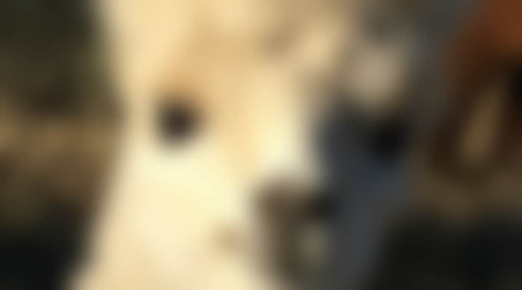 D9Bca40C372A8Bd7905B78Ce8A9A3Ca1