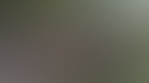 4E3Dbfcac34D0B6706594Dfb5A6B02Ee