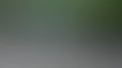 591B7Ad097Beda86Ea0C199416C7Faa7