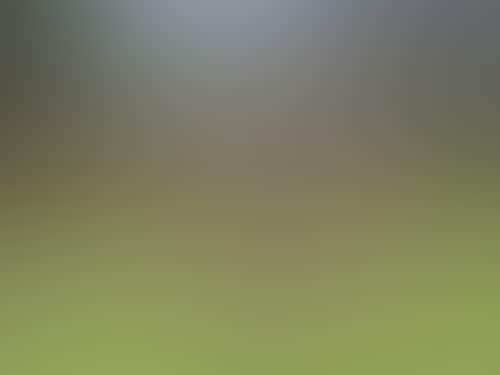 Bcd843D60A2F0080F995053Dd95C3531