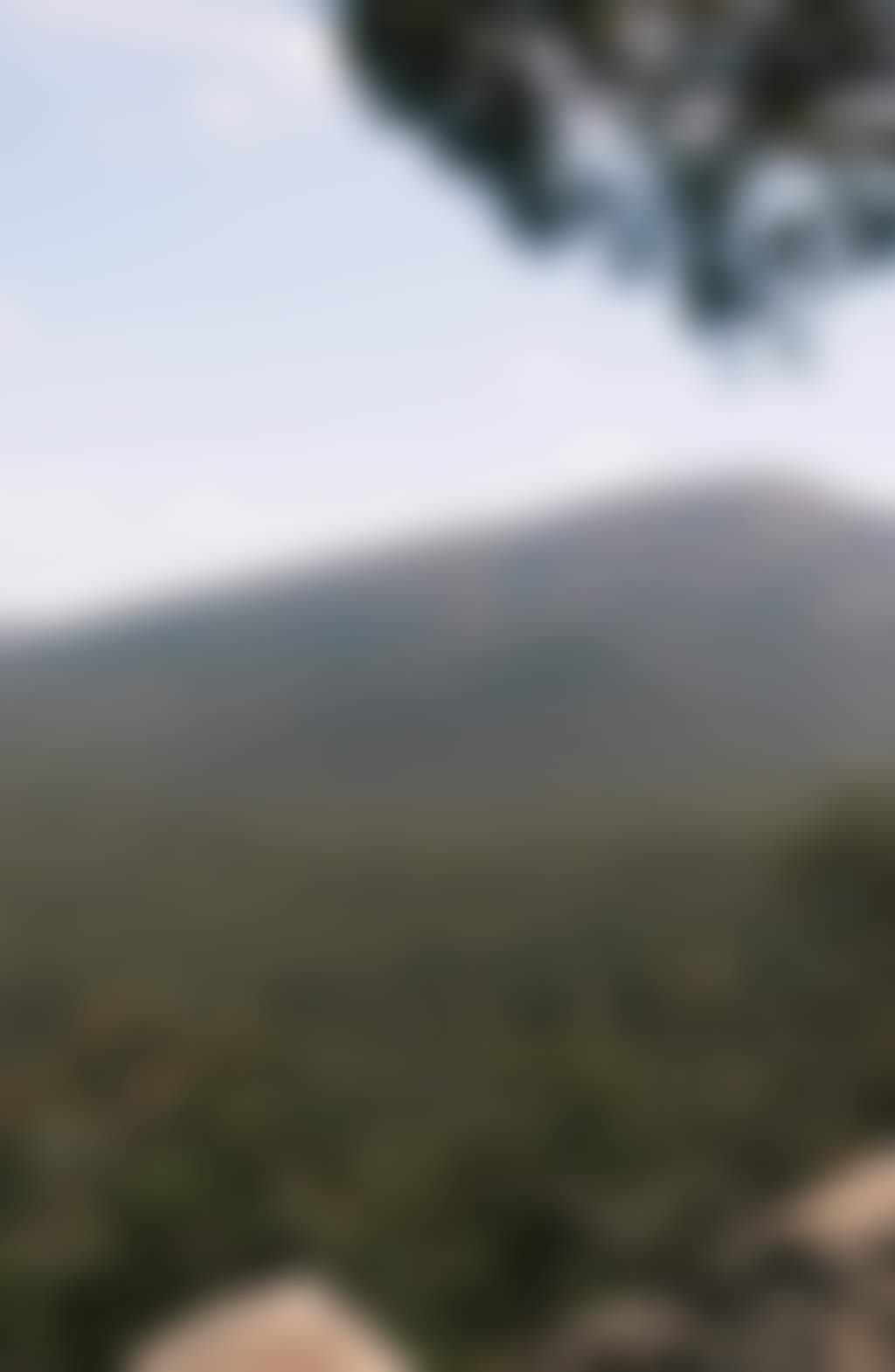 Mount Sturgeon (Wurgarri), Dunkeld