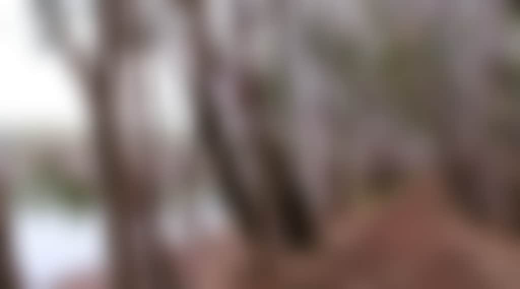 297F492C995D8A2D6Fdbde0C61A77490